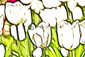 ����˹��������װ���޿����