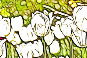 ����˹��������װ���޿�