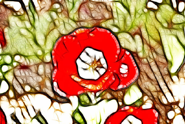 ����������װ�λ�