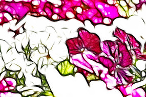 ��ɫ������