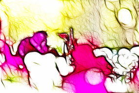 ��ɫ������������