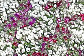 ��ɫ���޿����