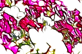 ��ɫ���޿�