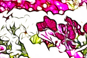 ��ɫ��������