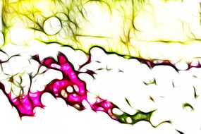 ��ɫ��װ�λ�