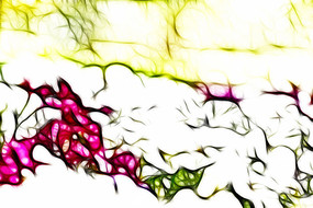 ��ɫ��װ���޿����