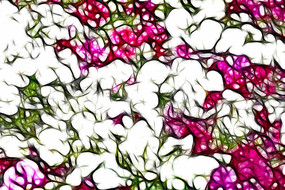 ��ɫ��װ���޿�