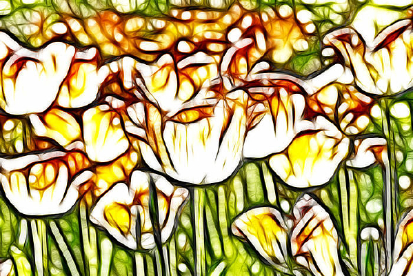 ������������