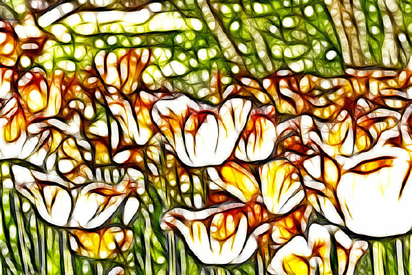 ����������޿�