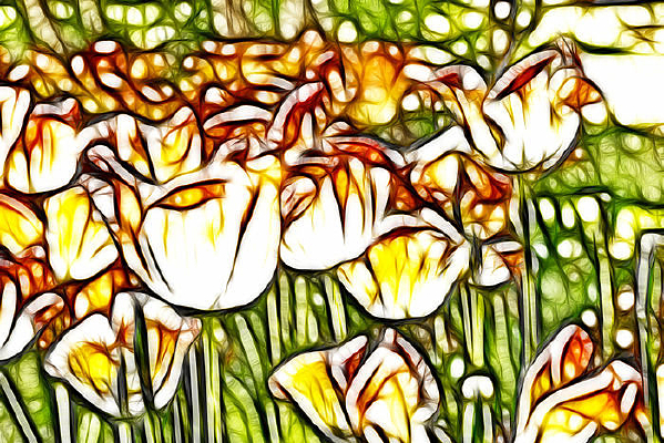 ���������װ�λ�