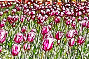 ˶��ۺ����������