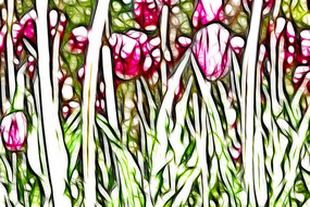 ˶��ۺ����������������