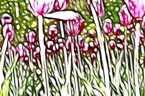 ˶��ۺ�������װ���޿�