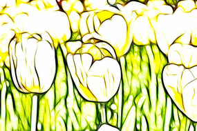 ̫�����������