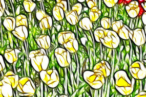 ̫�����������������