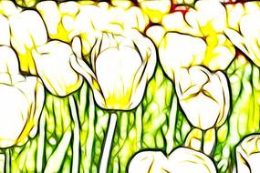 ̫���������޿����