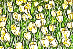 ̫���������޿����������