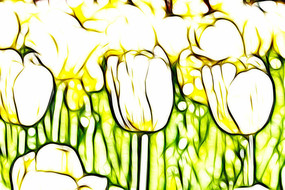 ̫���������޿�