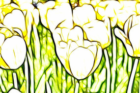 ̫��������������