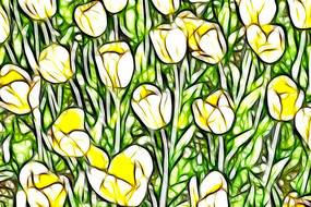 ̫��������װ�λ��޿�����������