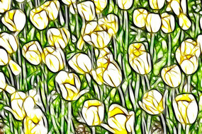 ̫��������װ���޿����