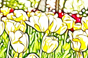 ̫��������װ���޿�