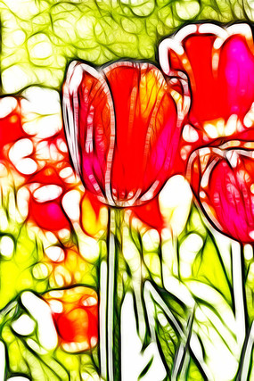 �������������