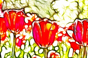 �����������޿����