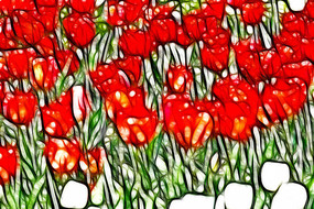 �����������޿����������