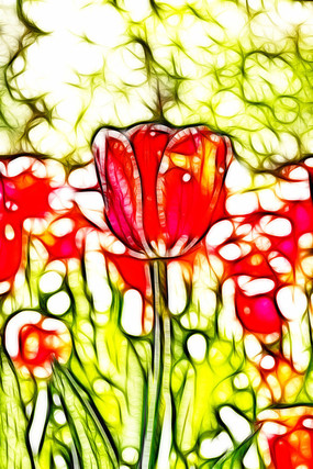 �����������޿�