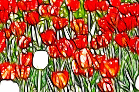 �����������޿򻭳���