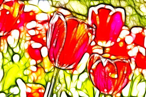 ����������������