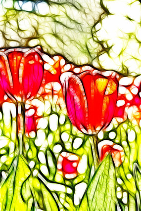 ����������װ�λ�