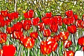 ����������װ�λ��޿�