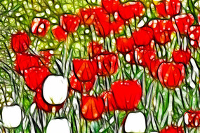 ����������װ�λ��޿�����������