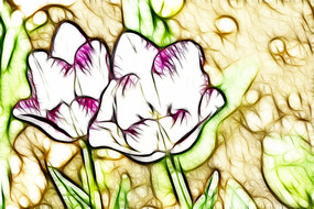 �������������������