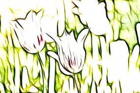 �����������޿�