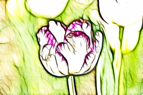 ����������������