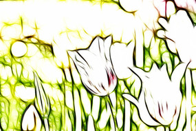 ����������װ�λ�