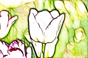 ����������װ���޿�