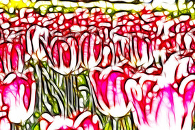 ��ѩ�������������