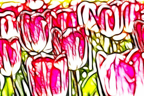 ��ѩ�����������޿����