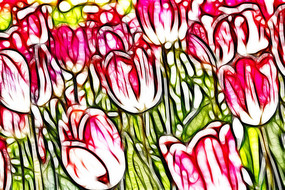 ��ѩ����������������