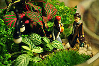 ����������