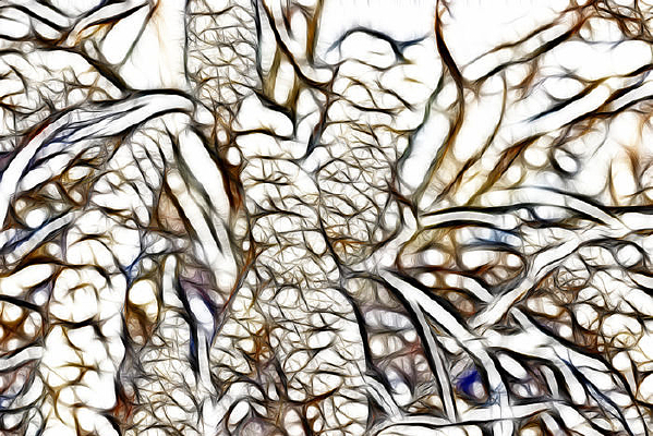 С��ֲ��װ�λ�