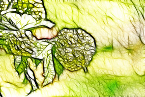 ���򻨳���