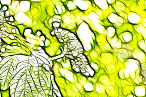 �������޿�