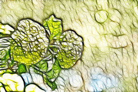 �����޿�