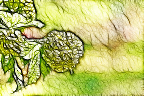 ����������