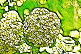 ����װ�λ�